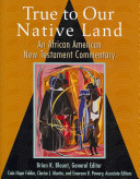 True to our native land : an African American New Testament commentary