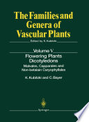 Flowering Plants · Dicotyledons Malvales, Capparales and Non-betalain Caryophyllales