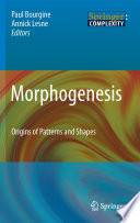 Morphogenesis Origins of Patterns and Shapes