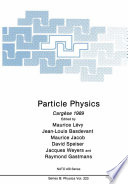 Particle Physics Cargèse 1989