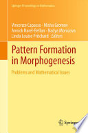 Pattern Formation in Morphogenesis Problems and Mathematical Issues