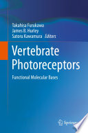 Vertebrate Photoreceptors Functional Molecular Bases