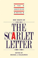 New essays on The scarlet letter