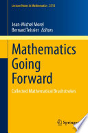 Mathematics going forward : collected mathematical brushstrokes
