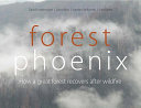 Forest Phoenix : how a great forest recovers after wildfire