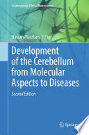 Development of the cerebellum from molecular aspects to diseases