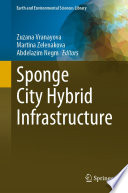 Sponge city hybrid infrastructure