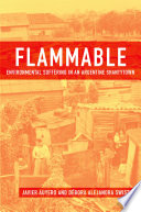 Flammable : environmental suffering in an Argentine shantytown