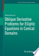 Oblique derivative problems for elliptic equations in conical domains