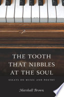 The tooth that nibbles at the soul : essays on music and poetry
