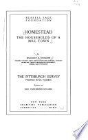 Homestead : the households of a mill town