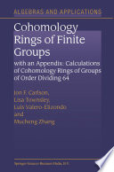 Cohomology Rings of Finite Groups With an Appendix: Calculations of Cohomology Rings of Groups of Order Dividing 64