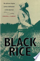 Black rice : the African origins of rice cultivation in the Americas