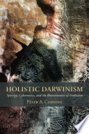 Holistic Darwinism : synergy, cybernetics, and the bioeconomics of evolution