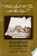 "What shall we do with the Negro?" : Lincoln, white racism, and Civil War America