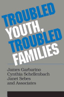 Troubled youth, troubled families : understanding families at risk for adolescent maltreatment