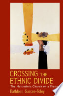 Crossing the ethnic divide : the multiethnic church on a mission