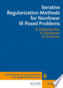 Iterative Regularization Methods for Nonlinear Ill-posed Problems.