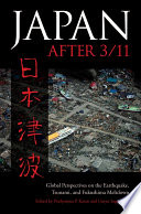 Japan after 3 : Global Perspectives on the Earthquake, Tsunami, and Fukushima Meltdown