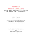 Robert Mapplethorpe : the perfect moment