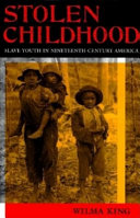 Stolen childhood : slave youth in nineteenth-century America