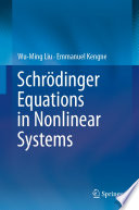 Schrödinger Equations in Nonlinear Systems