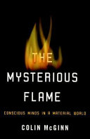 The mysterious flame : conscious minds in a material world