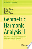 Geometric harmonic analysis. II, Function spaces measuring size and smoothness on rough sets