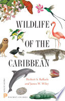 Wildlife of the Caribbean