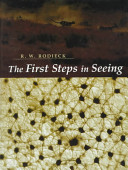 The first steps in seeing