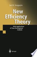 New Efficiency Theory With Applications of Data Envelopment Analysis