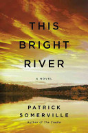 This bright river : a novel