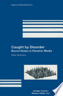 Caught by Disorder Bound States in Random Media