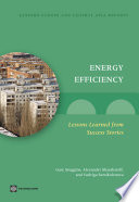 Energy efficiency : lessons learned from success stories