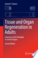 Tissue and Organ Regeneration in Adults Extension of the Paradigm to Several Organs