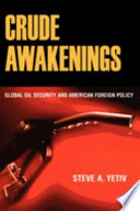 Crude awakenings : global oil security and American foreign policy