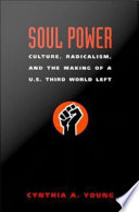 Soul power : culture, radicalism, and the making of a U.S. Third World left
