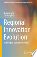 Regional innovation evolution : an emerging economy perspective